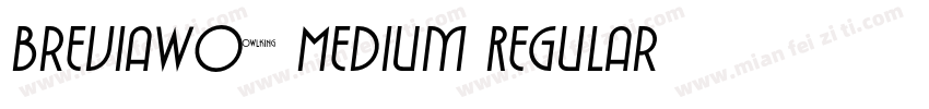 BreviaW02 Medium Regular字体转换